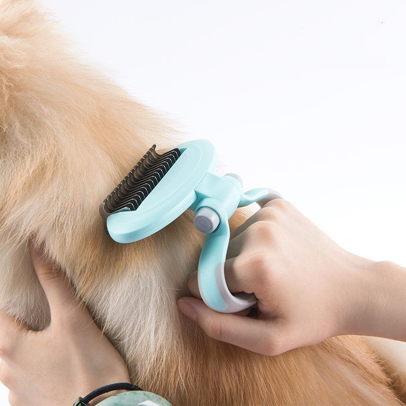 Hundekamm gegen Knoten